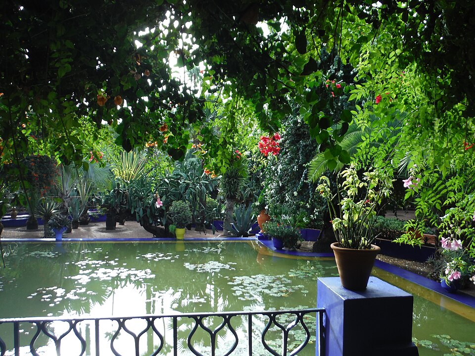 A shaded pond and dense planting at Jardin Majorelle