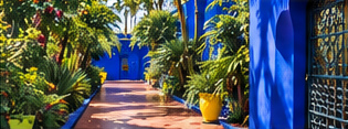 A path through the garden’s greenery